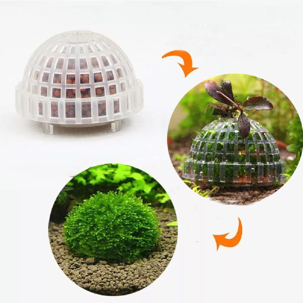 Planted Aquarium Models - 1 Buah Penyangga Bola Lumut Akuarium,