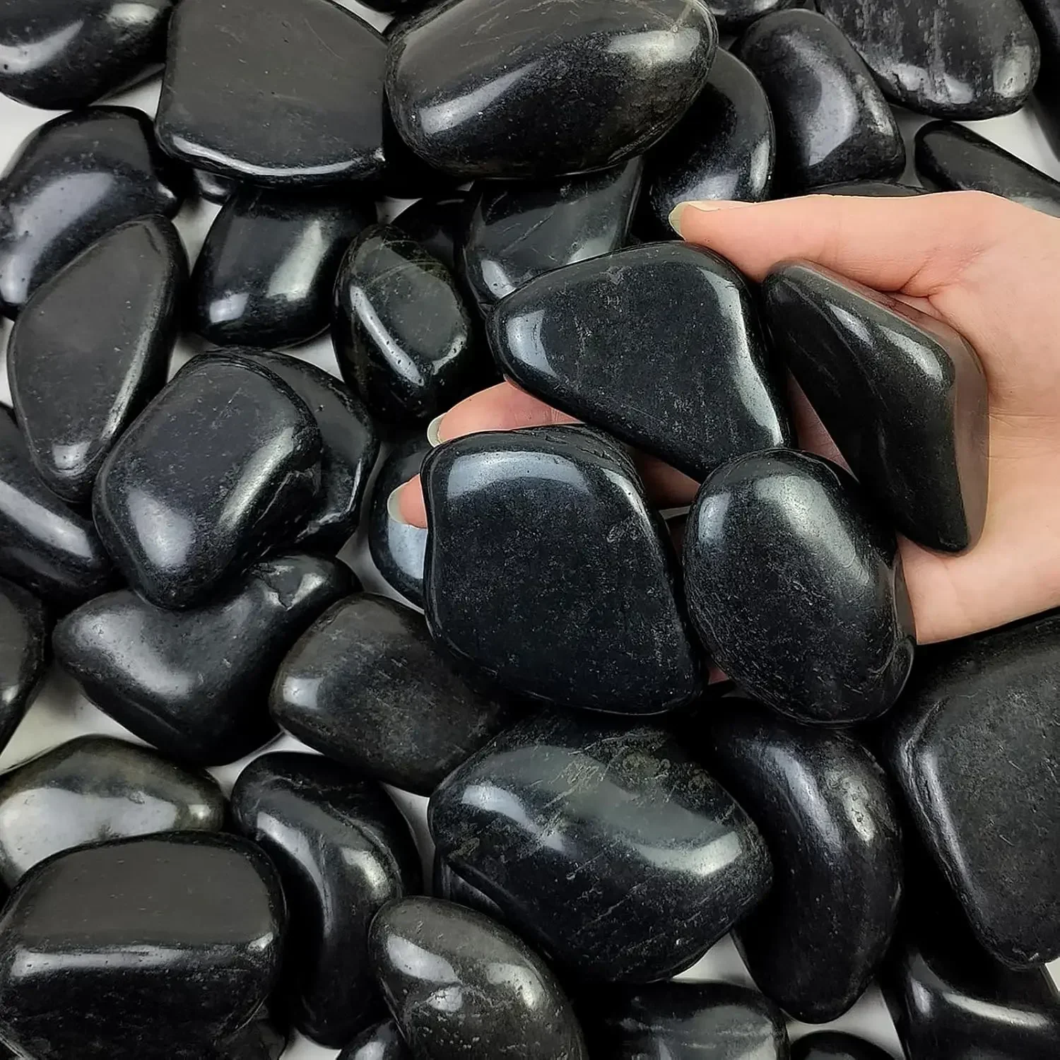 Planted Aquarium With Rocks - 40 lbs Batu Sungai Hitam untuk