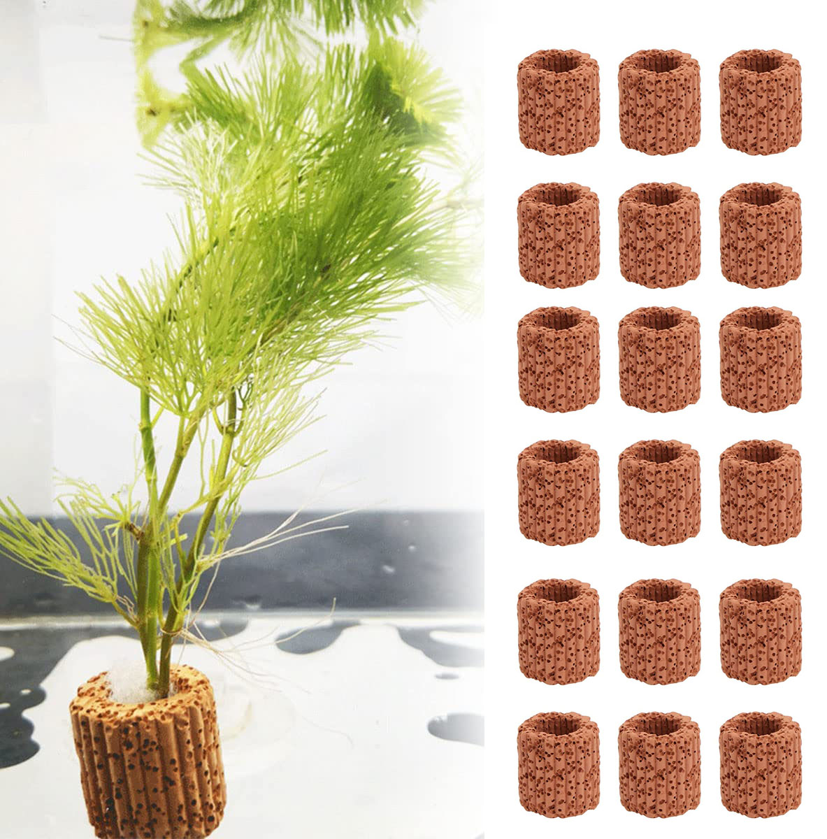 Aquarium Plant Rings - 10/20 buah tanaman air akuatik, dasar
