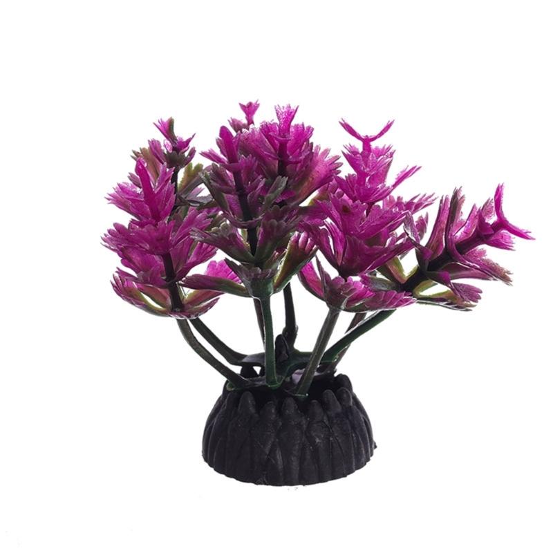 Planted Aquarium Models - G6KF Dekorasi Tanaman Air Tangki Tanaman