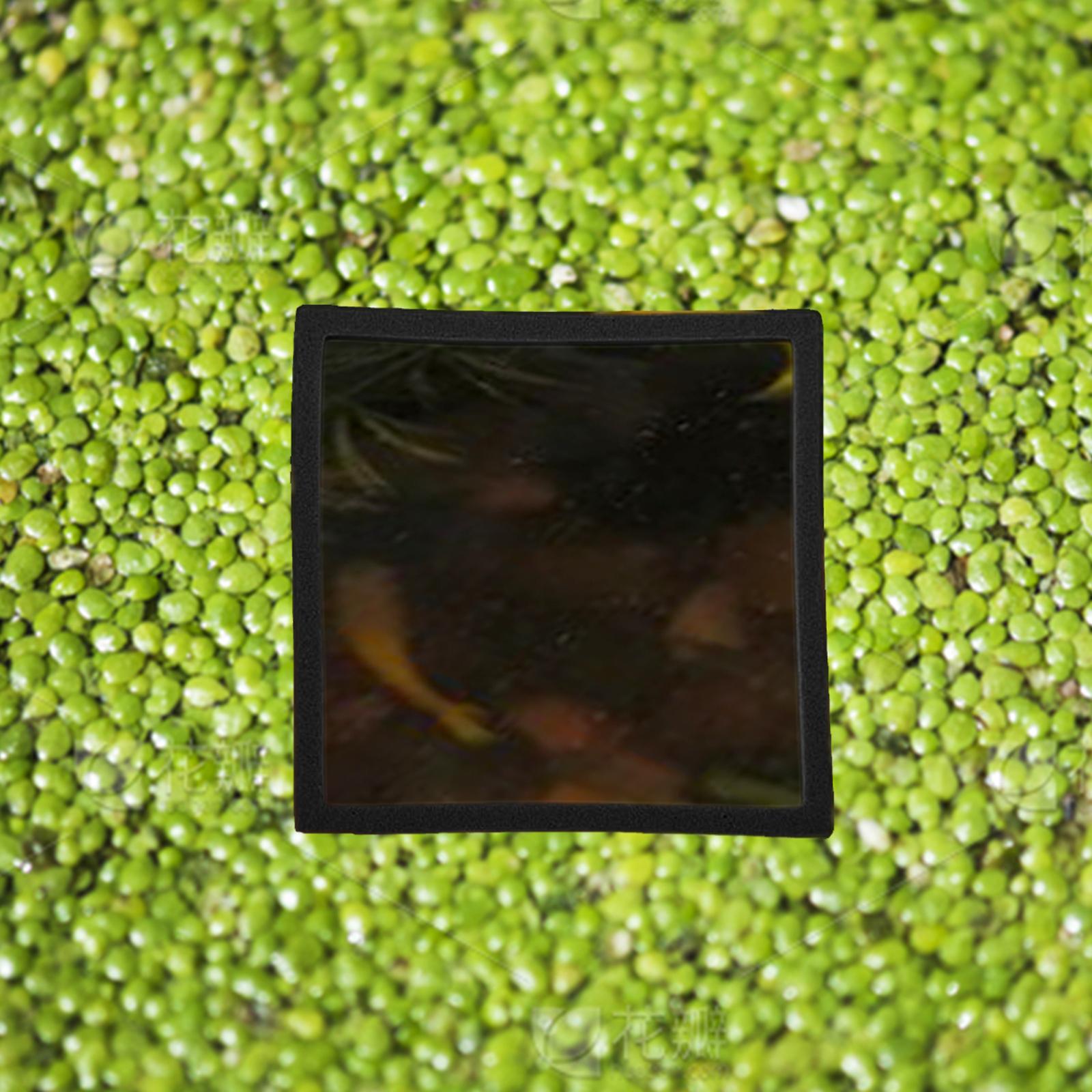 Aquarium Plant Rings - 5 Buah Cincin Tanaman Terapung Akuarium,