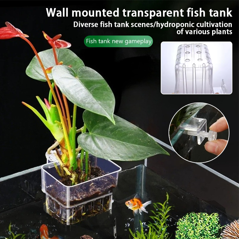 Aquarium Plant Rings - Pot Tanaman Gantung Akuarium, Wadah Tanaman