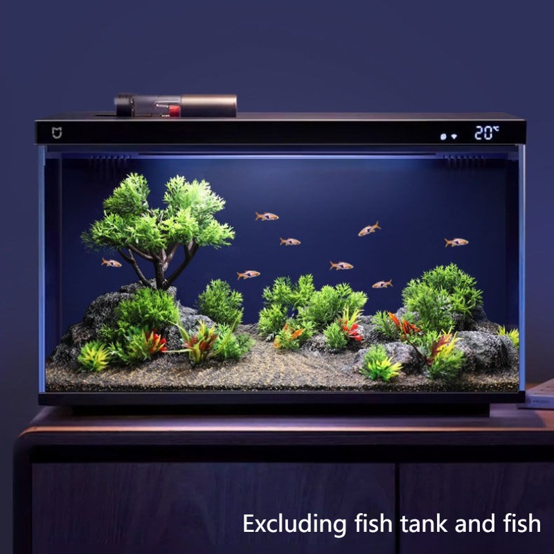Planted Aquarium With Rocks - Dekorasi Tangki Ikan Simulasi Ekologi Batu