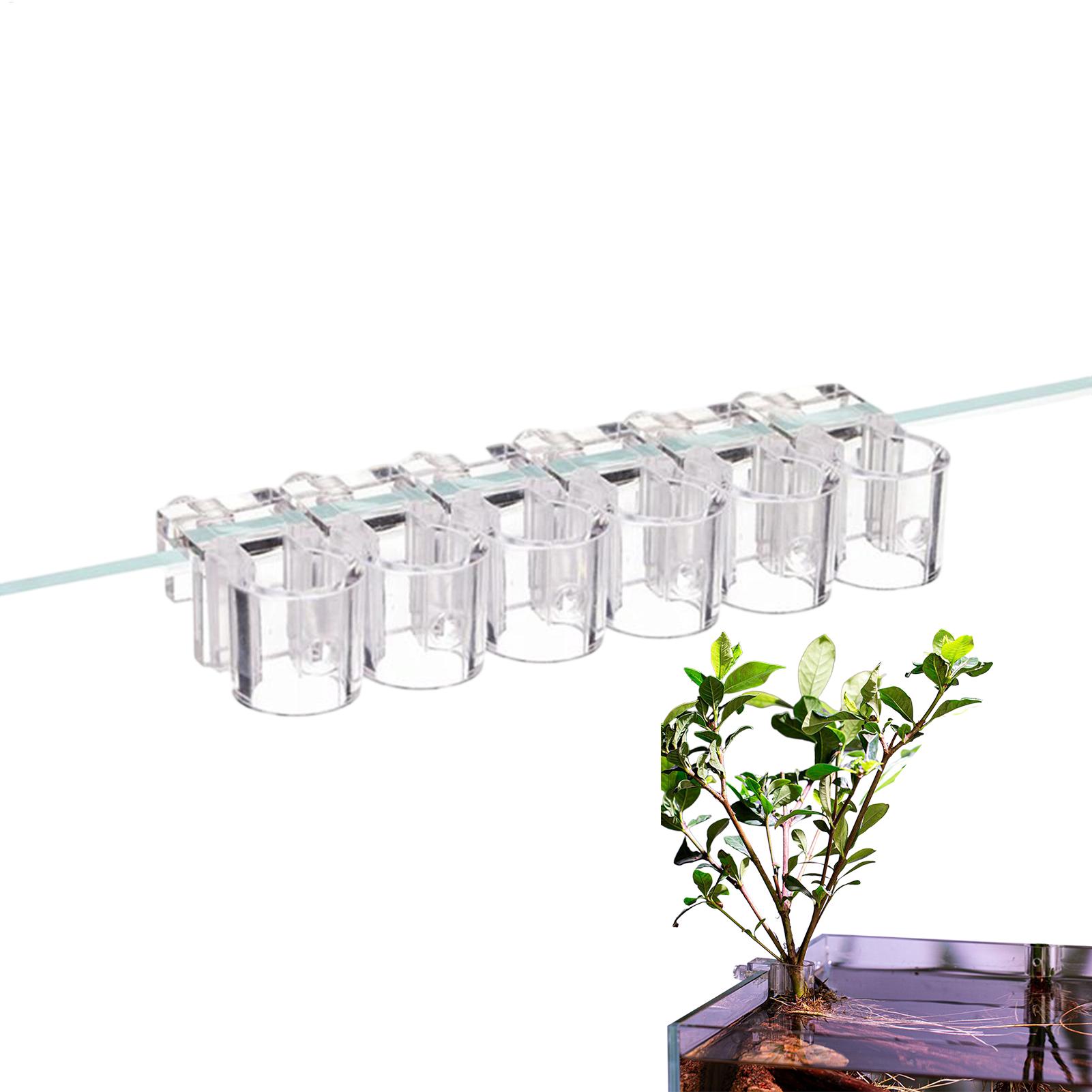 Aquarium Plant Rings - Keranjang Tanaman Akuarium Transparan, Dekorasi Gantung