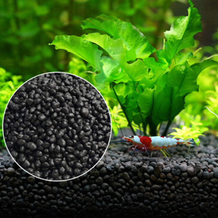 Planted Aquarium Moss - Bibit Tanaman Akuarium Tanah Tangki Ikan