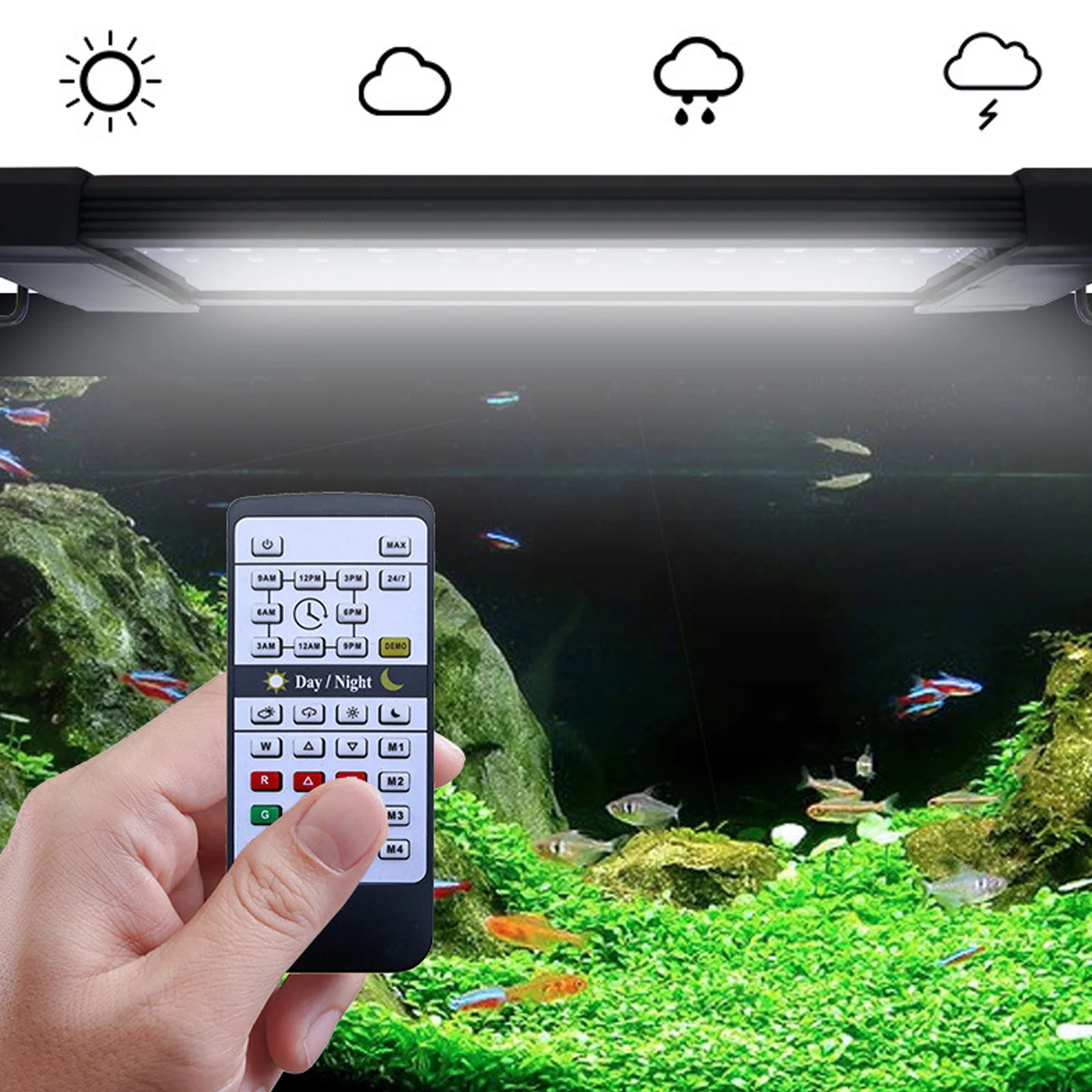 Planted Aquarium Hours - Lampu Akuarium LED Liweida 24 Jam