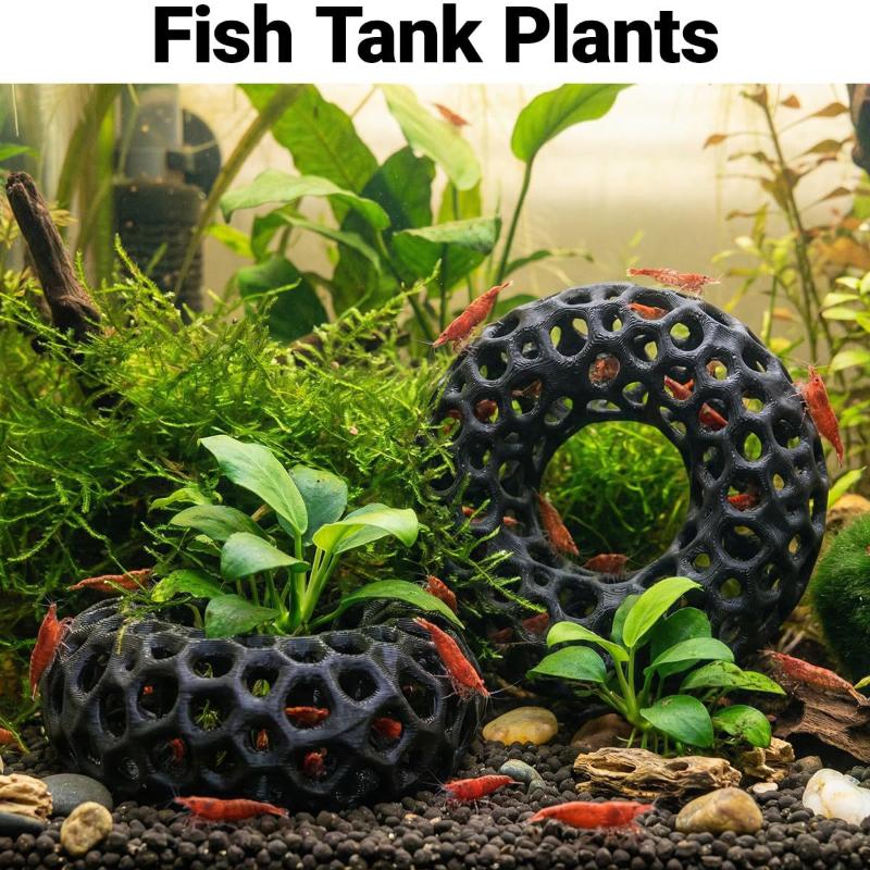 Tempat Persembunyian Udang Aku - Aquarium Plant Rings ulasan dan harga