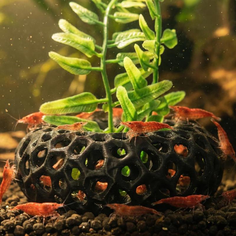 Tempat Persembunyian Udang Aku - Aquarium Plant Rings ulasan dan harga