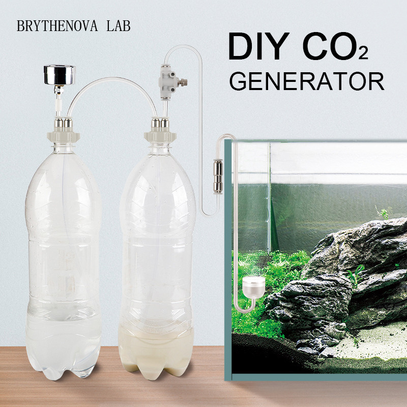 Generator CO2 untuk Akuarium T - Planted Aquarium Moss ulasan dan harga