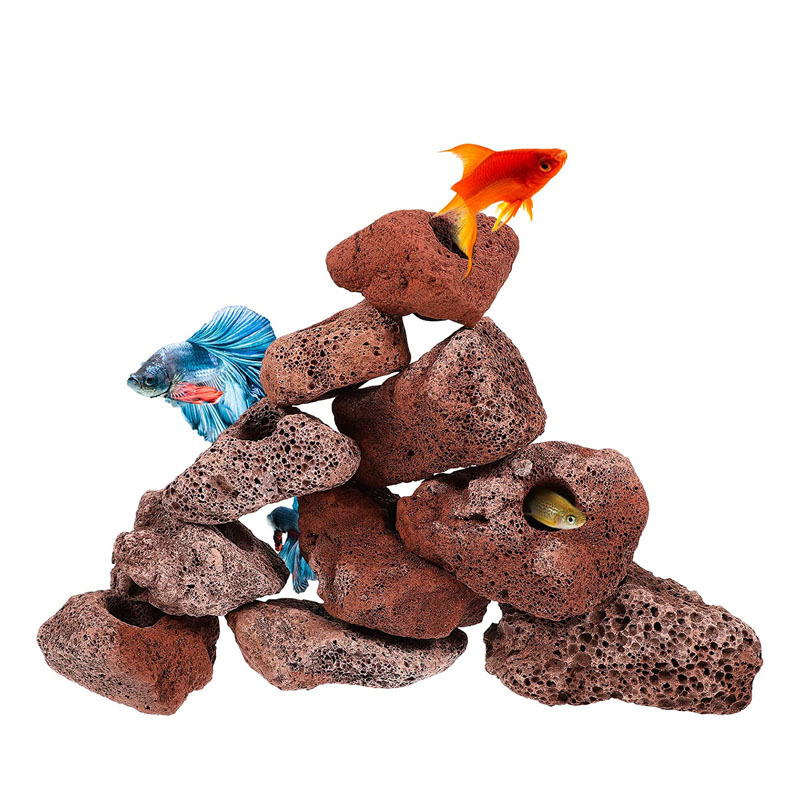 Batu terbuka udang ikan Penamp - Planted Aquarium With Rocks ulasan dan harga