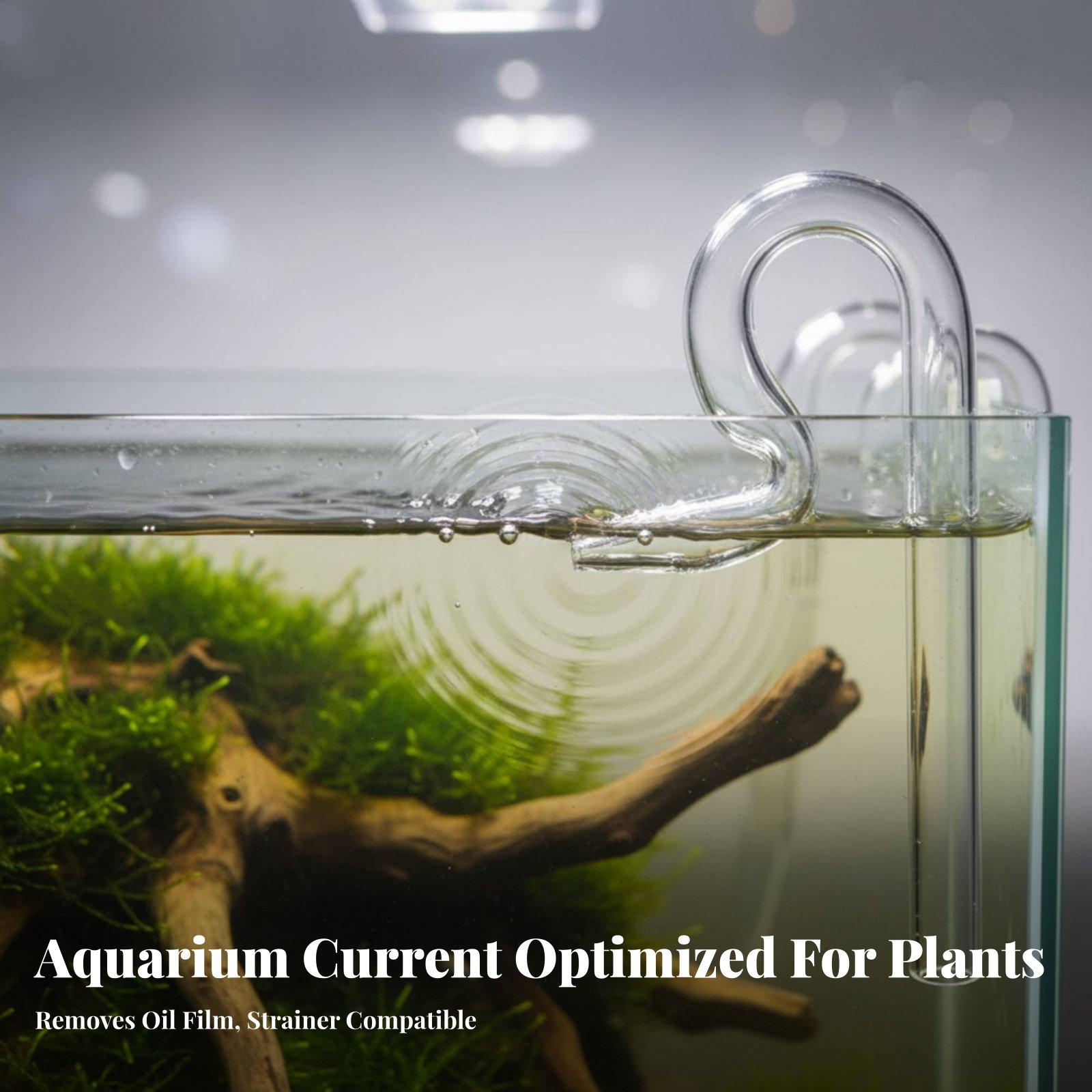Glass Lily Pipe Aquarium Surfa - Aquarium Lily Pipe ulasan dan harga