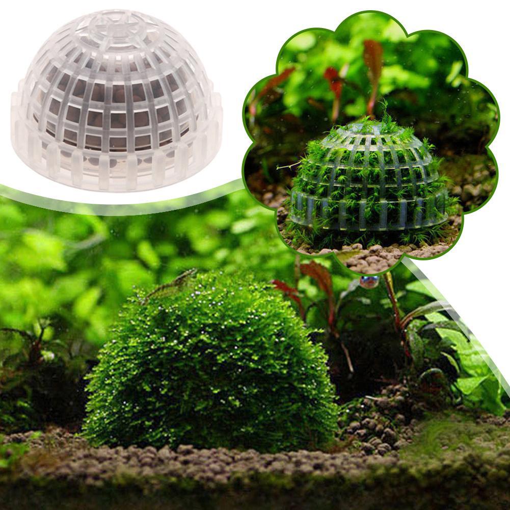 1 Buah Penyangga Bola Lumut Ak - Planted Aquarium Models ulasan dan harga