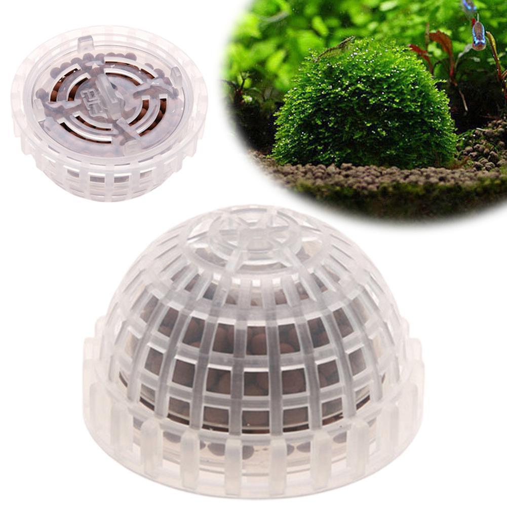 1 Buah Penyangga Bola Lumut Ak - Planted Aquarium Models ulasan dan harga