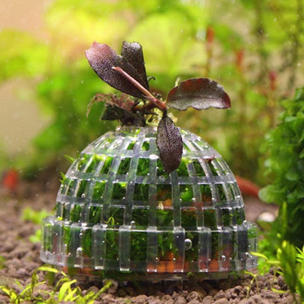 1 Buah Penyangga Bola Lumut Ak - Planted Aquarium Models ulasan dan harga