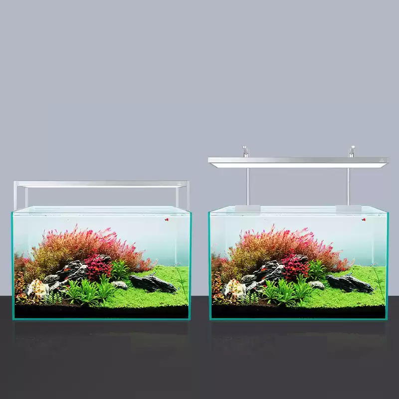 Lampu Led tanaman spektrum pen - Planted Aquarium Accessories ulasan dan harga