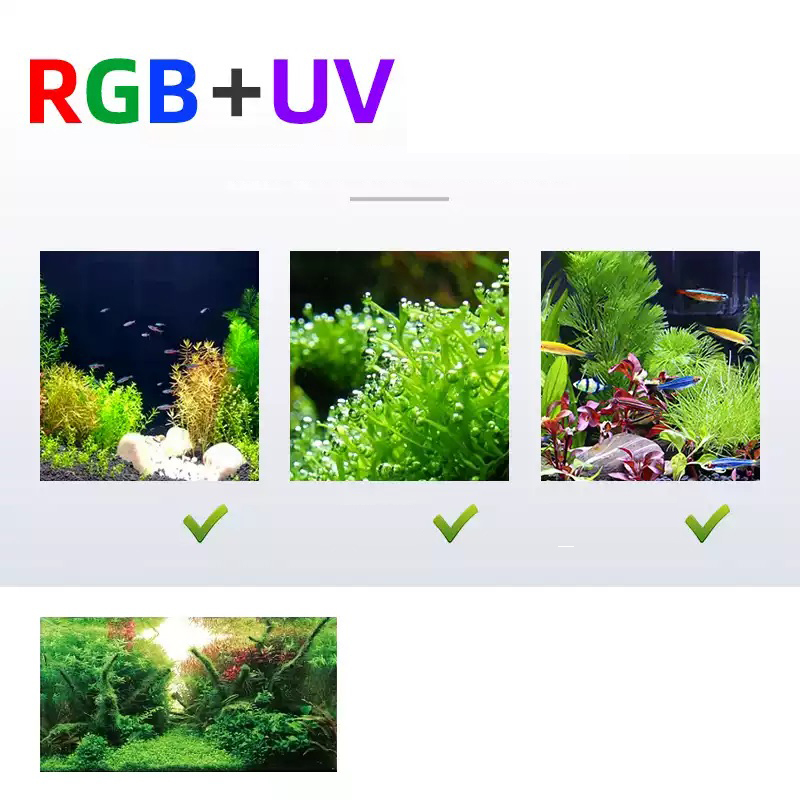 Lampu Led tanaman spektrum pen - Planted Aquarium Accessories ulasan dan harga
