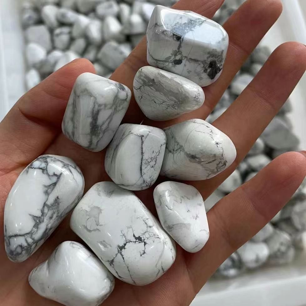 Batu Turquoise Putih Alami Kas - Planted Aquarium With Rocks ulasan dan harga