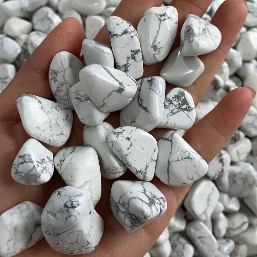 Batu Turquoise Putih Alami Kas - Planted Aquarium With Rocks ulasan dan harga