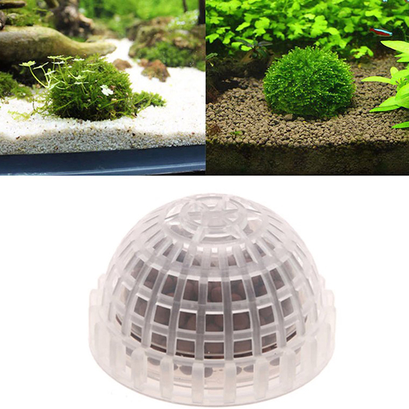 1 buah perlengkapan hewan peli - Planted Aquarium Models ulasan dan harga