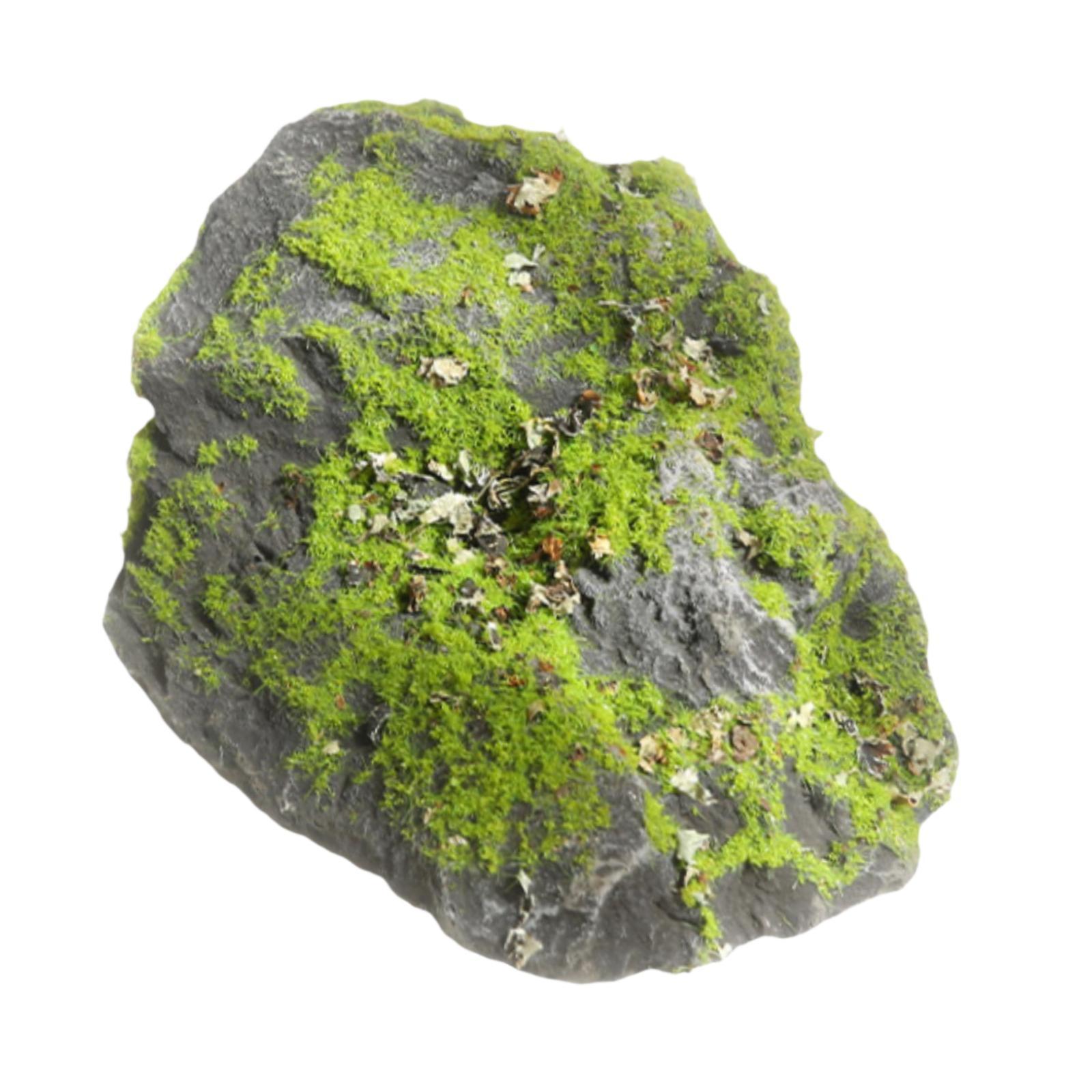 Batu Lumut Palsu Dekorasi Tana - Planted Aquarium Moss ulasan dan harga