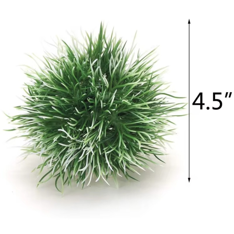 10pcs Penjualan Terlaris Produ - Planted Aquarium With Rocks ulasan dan harga