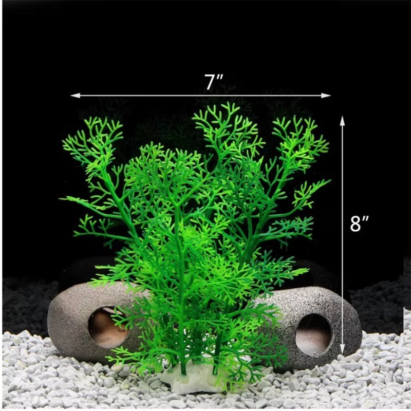 10pcs Penjualan Terlaris Produ - Planted Aquarium With Rocks ulasan dan harga