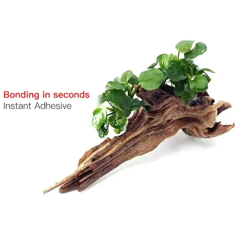 2PCS 5PCS /3/ Lem Transparan u - Planted Aquarium Moss ulasan dan harga