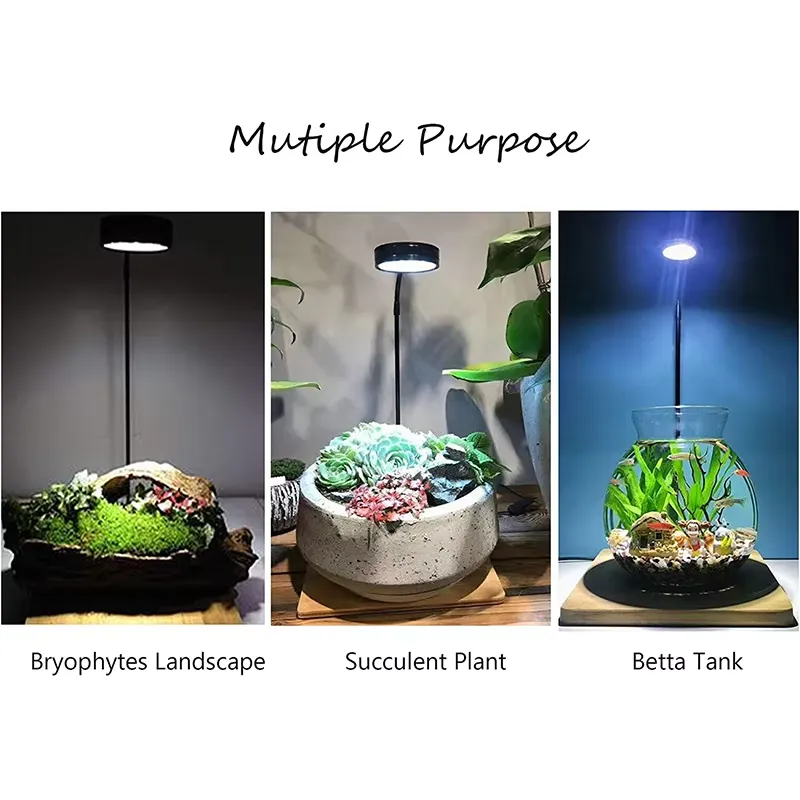 Lampu LED Spektrum Penuh denga - Planted Aquarium Hours ulasan dan harga
