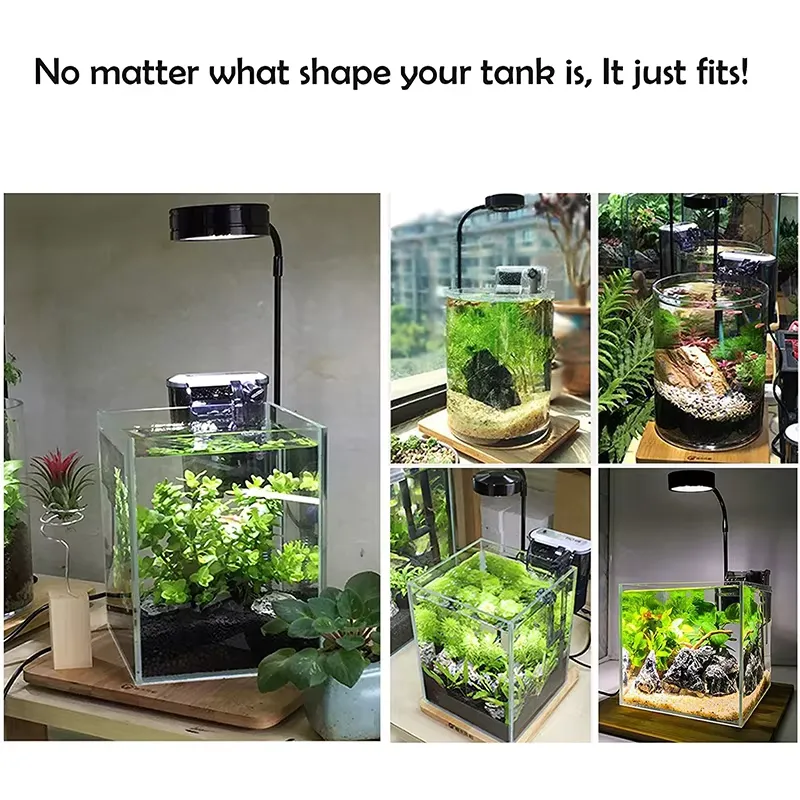 Lampu LED Spektrum Penuh denga - Planted Aquarium Hours ulasan dan harga
