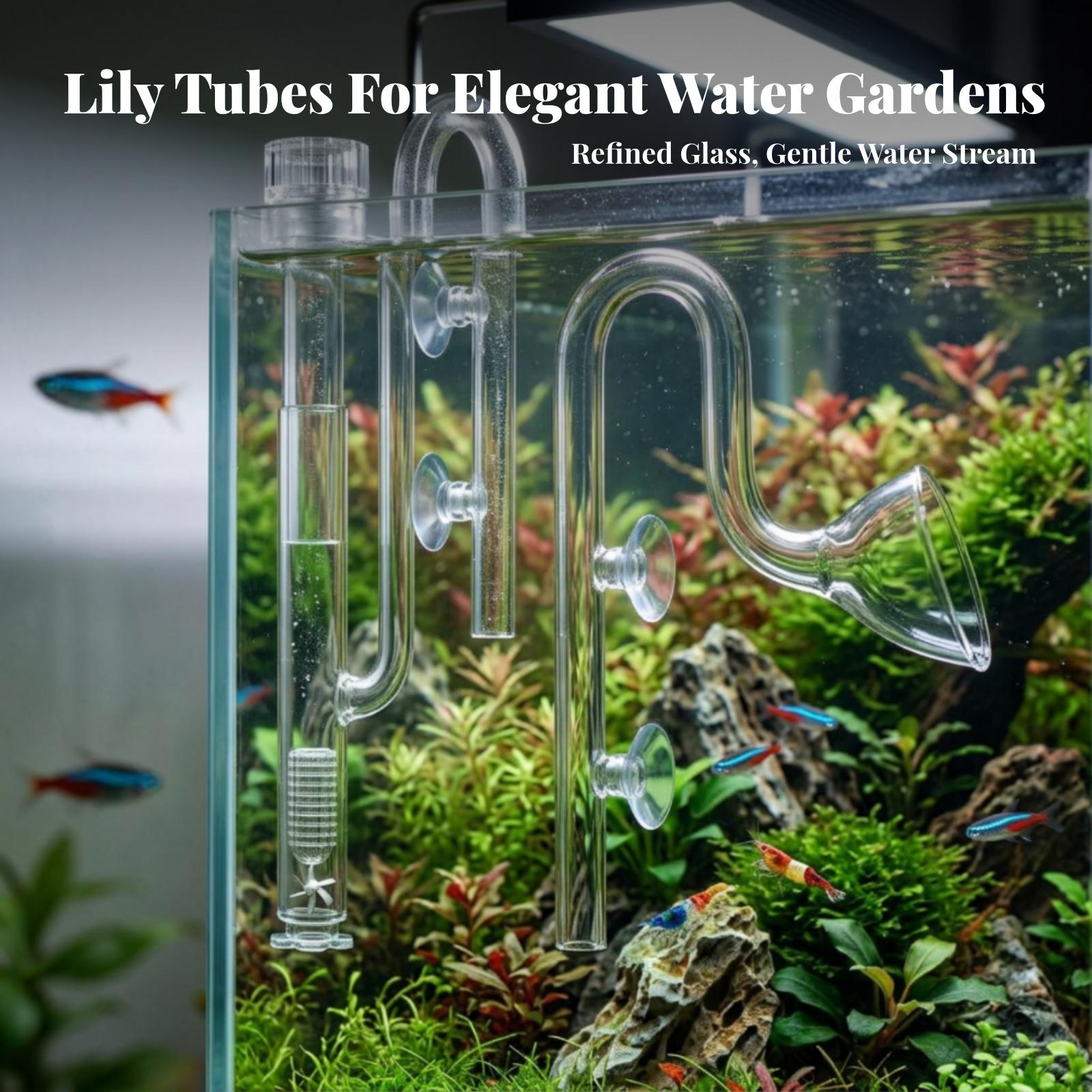 Set Pipa Lily Transparan untuk - Aquarium Lily Pipe ulasan dan harga