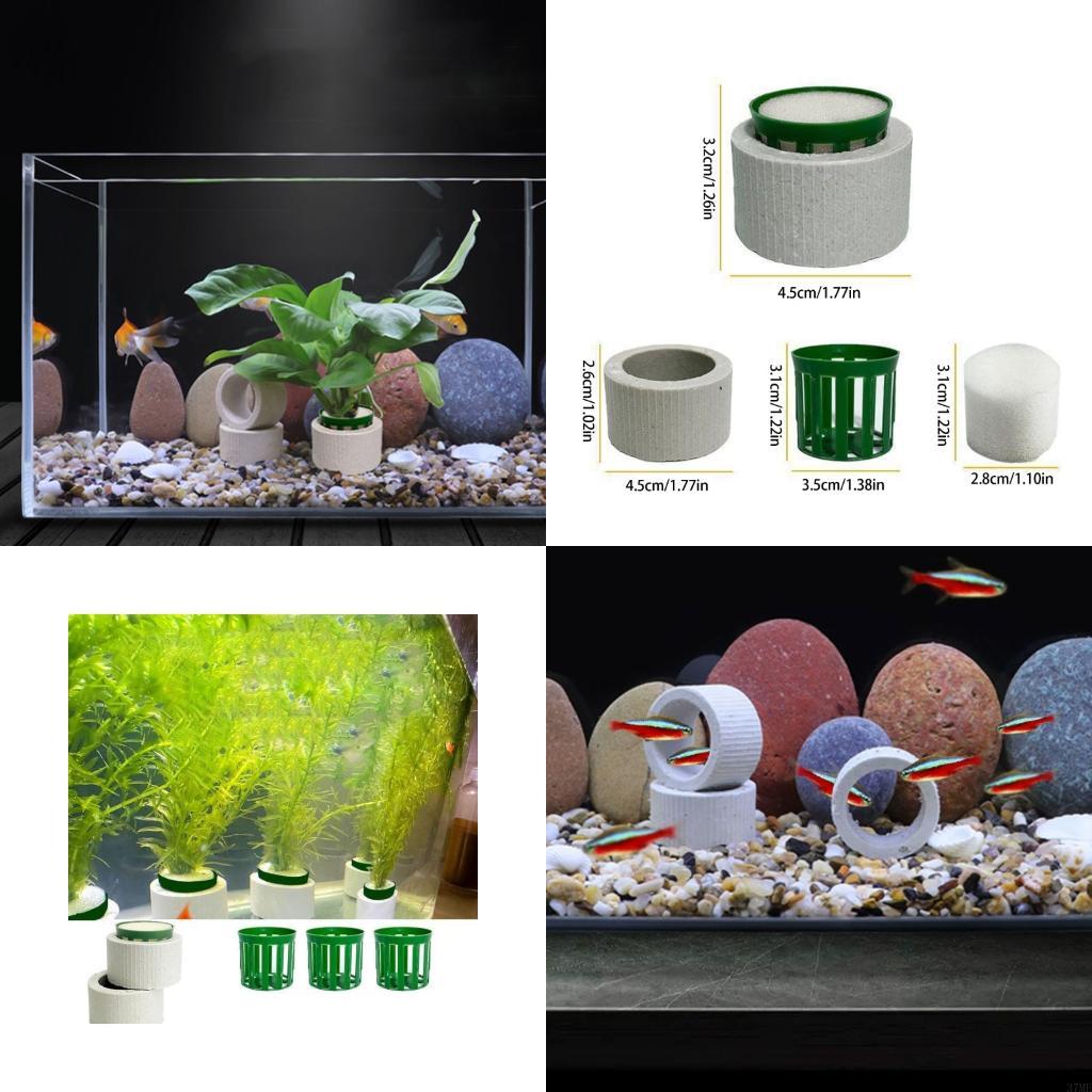 37ME 10 Buah Set Cincin Tetap  - Aquarium Plant Rings ulasan dan harga