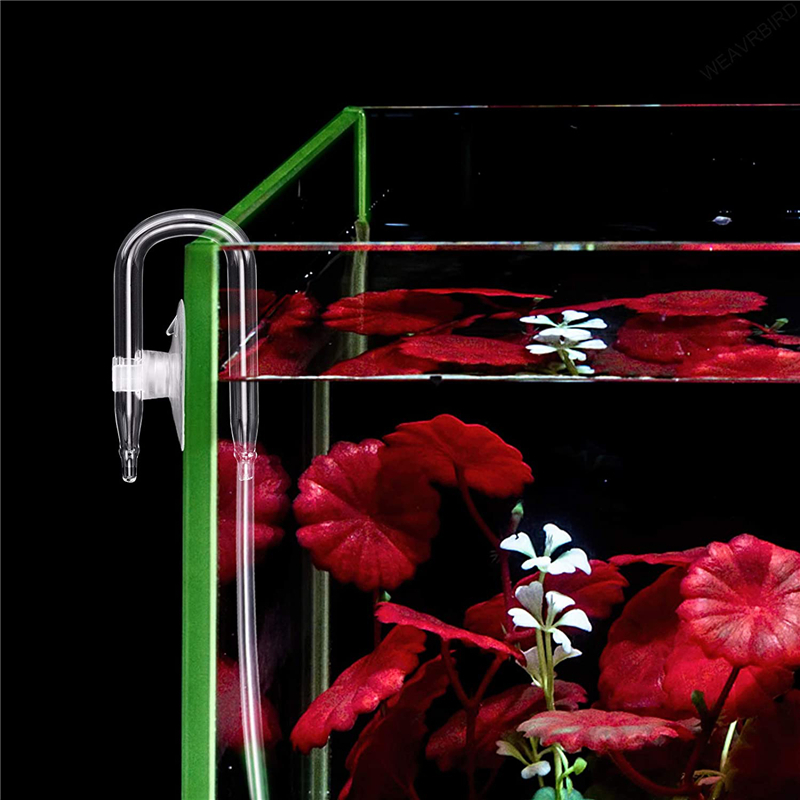 Konektor Pipa Udara Berbentuk  - Aquarium Lily Pipe ulasan dan harga