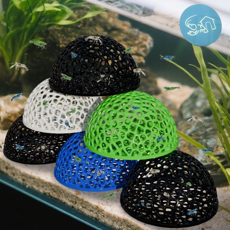 Tempat Persembunyian Akuarium, - Planted Aquarium Moss ulasan dan harga