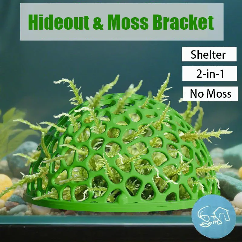 Tempat Persembunyian Akuarium, - Planted Aquarium Moss ulasan dan harga