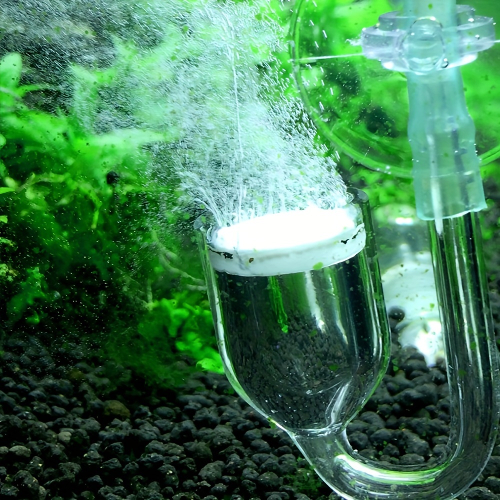 Aquarium kaca CO2 Atomizer Dif - Planted Aquarium Accessories ulasan dan harga