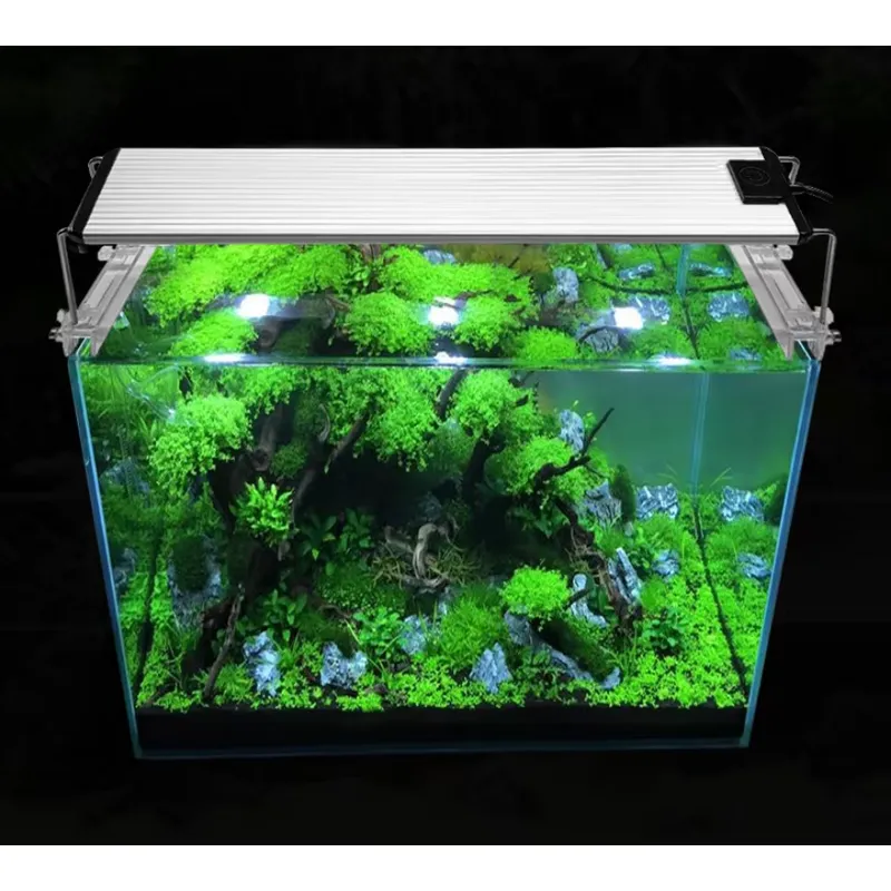 Lampu Akuarium LED RGB Spektru - Planted Aquarium Hours ulasan dan harga