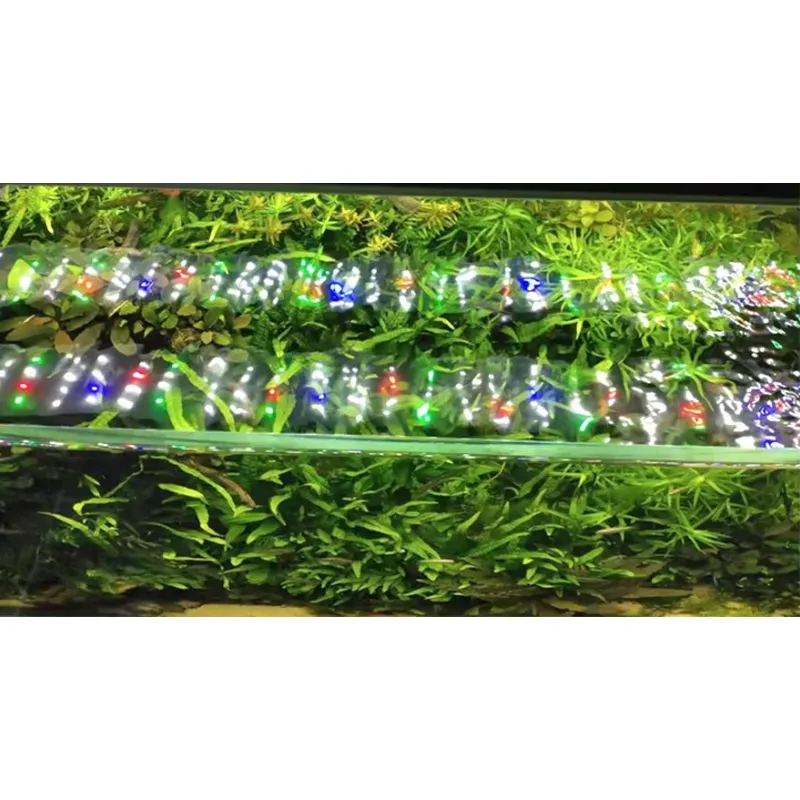 Lampu Akuarium LED RGB Spektru - Planted Aquarium Hours ulasan dan harga