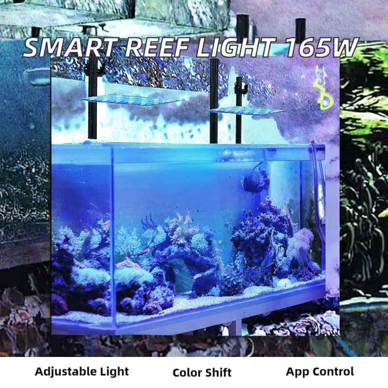 Lampu LED Akuarium 165W Dimmab - Planted Aquarium Models ulasan dan harga