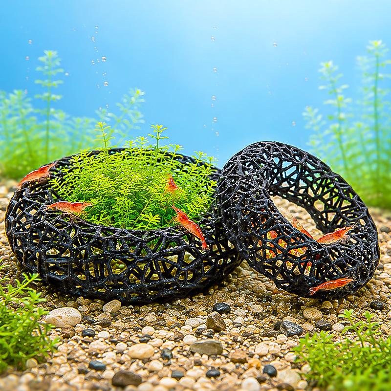 Tempat Persembunyian Udang Aku - Aquarium Plant Rings ulasan dan harga