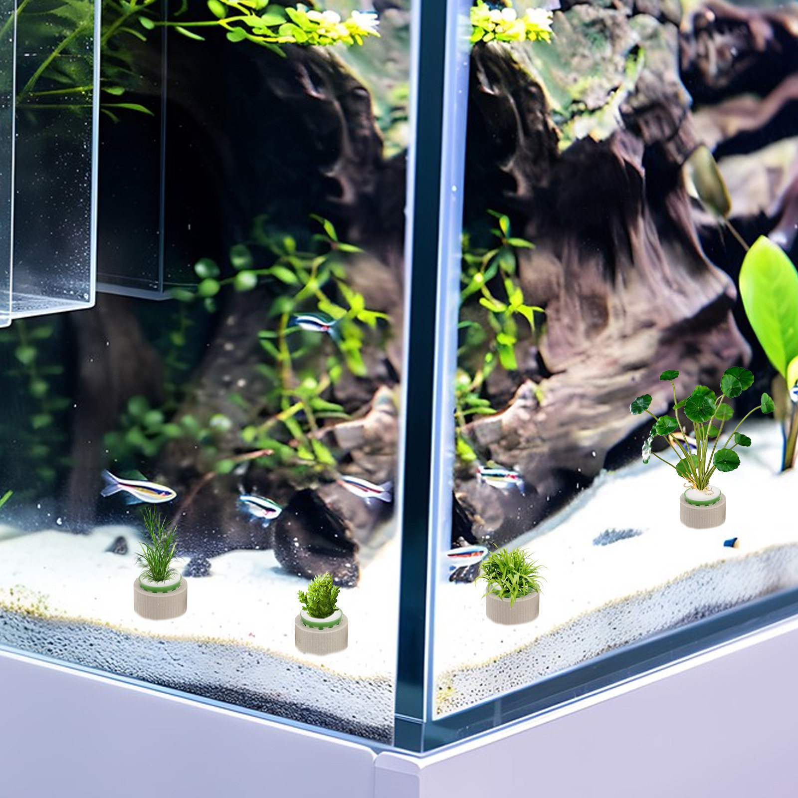 9 Buah Cincin Penyangga Tanama - Aquarium Plant Rings ulasan dan harga