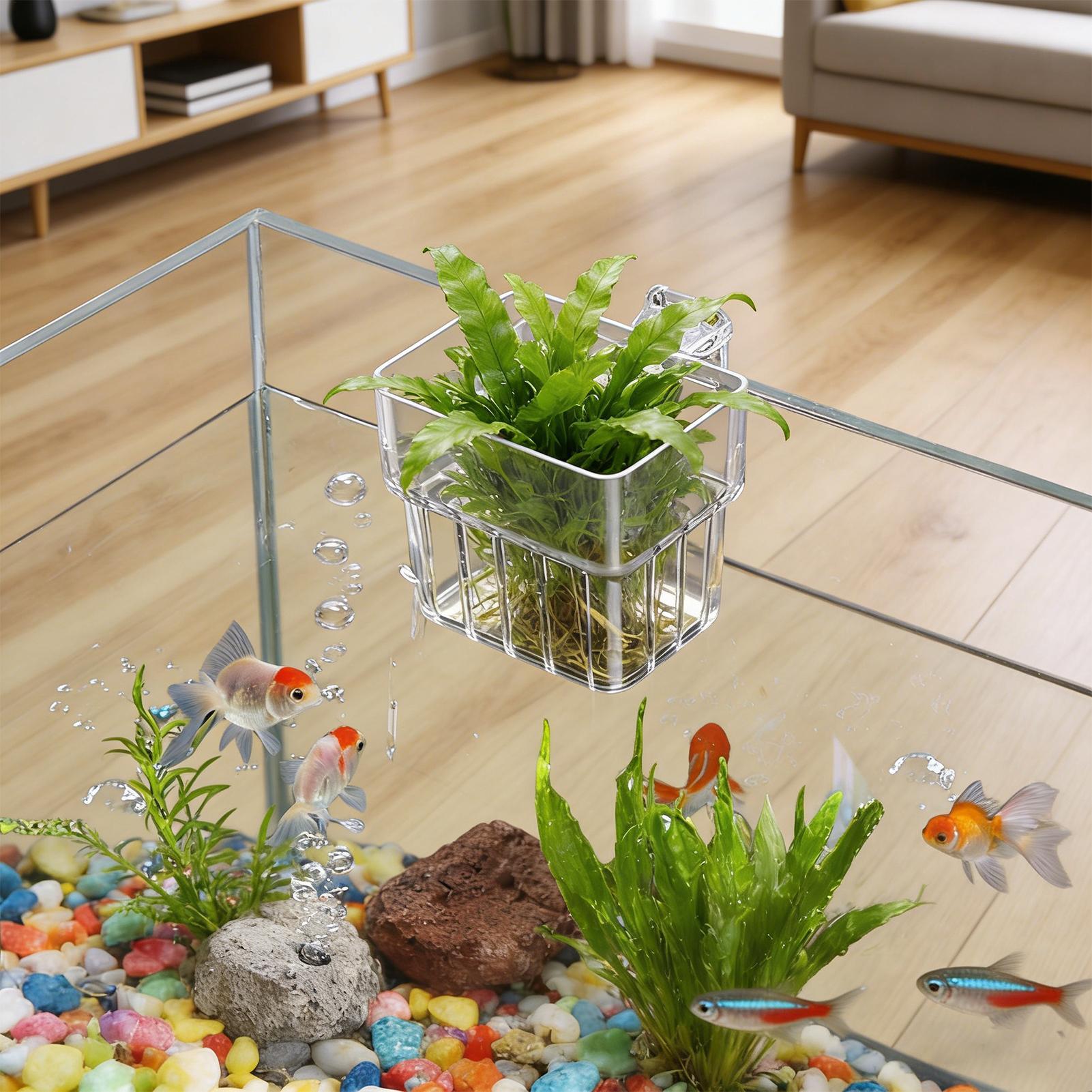 Pot Tanaman Akuarium Transpara - Aquarium Plant Rings ulasan dan harga