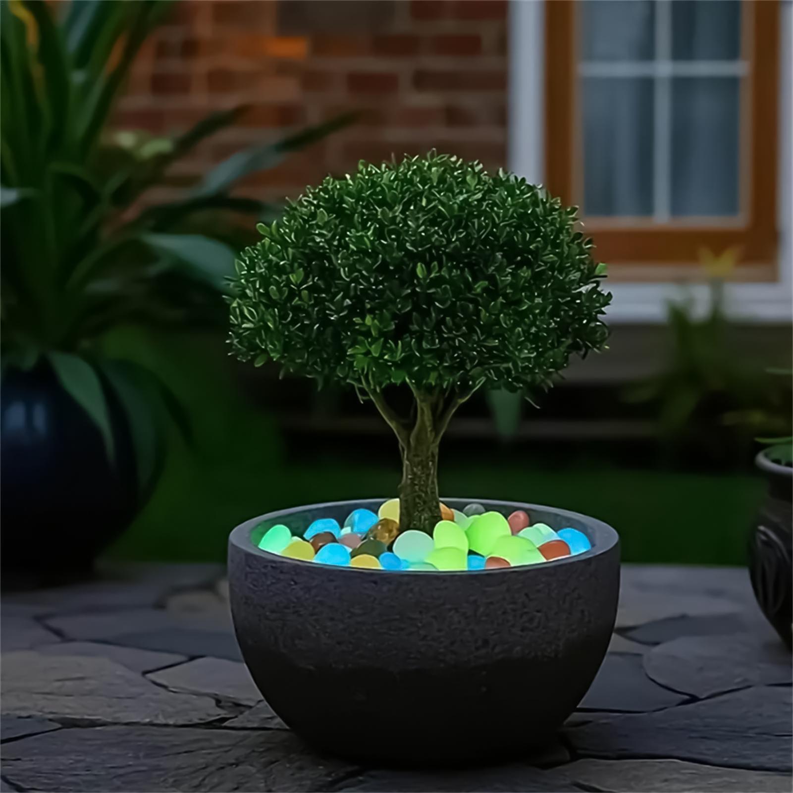 Batu Lanskap 20 Buah 1,8 Inci  - Planted Aquarium With Rocks ulasan dan harga