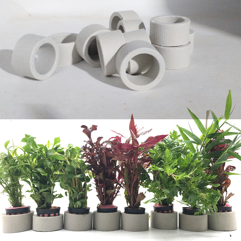 Dekorasi akuarium cincin keram - Aquarium Plant Rings ulasan dan harga