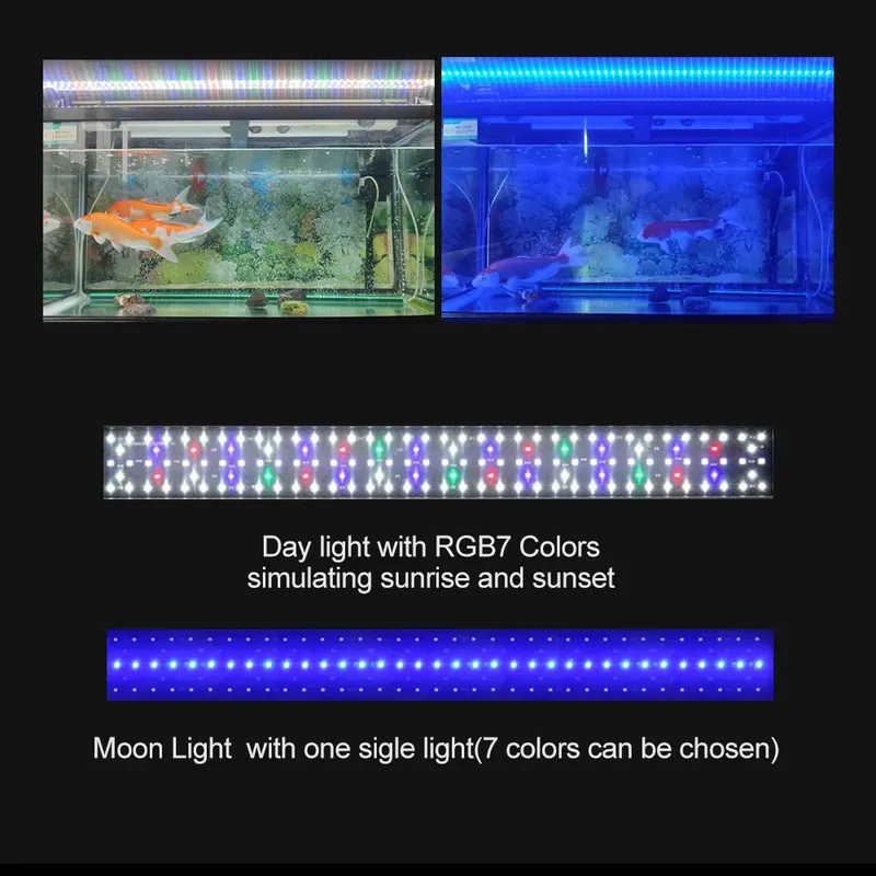Lampu Akuarium LED RGB 12-48 I - Planted Aquarium Hours ulasan dan harga
