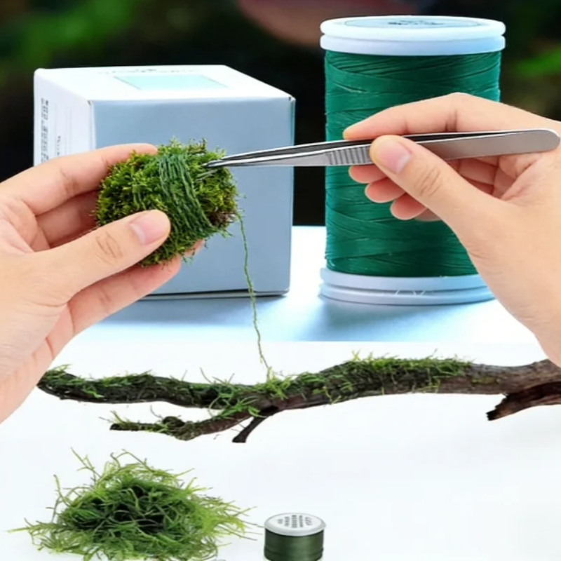 Benang Lumut Akuarium Biodegra - Planted Aquarium With Rocks ulasan dan harga