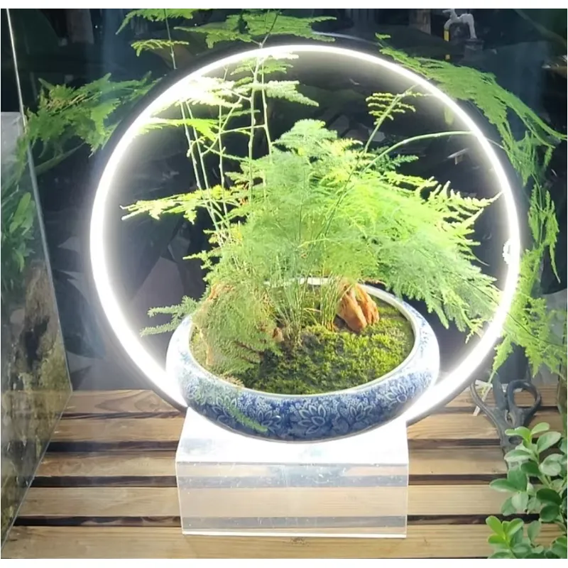 Lampu LED Akuarium Desktop unt - Planted Aquarium Hours ulasan dan harga