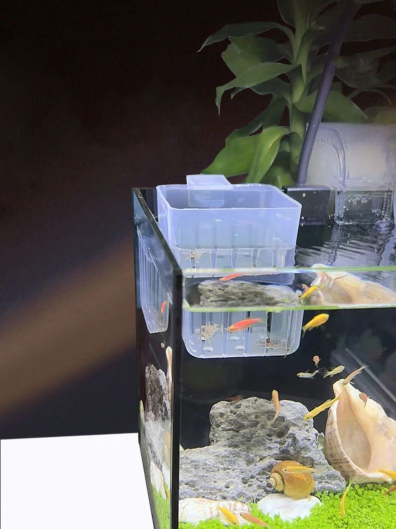 Keranjang Hidroponik Transpara - Aquarium Plant Rings ulasan dan harga