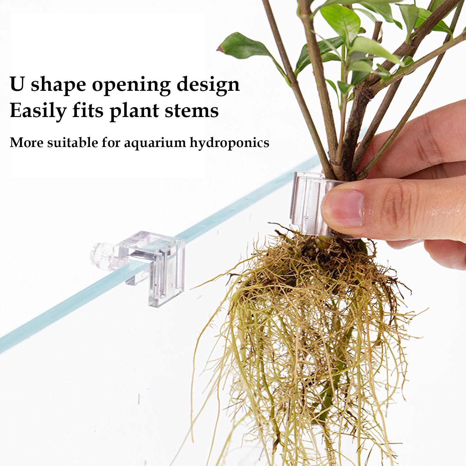 Keranjang Tanaman Akuarium Tra - Aquarium Plant Rings ulasan dan harga