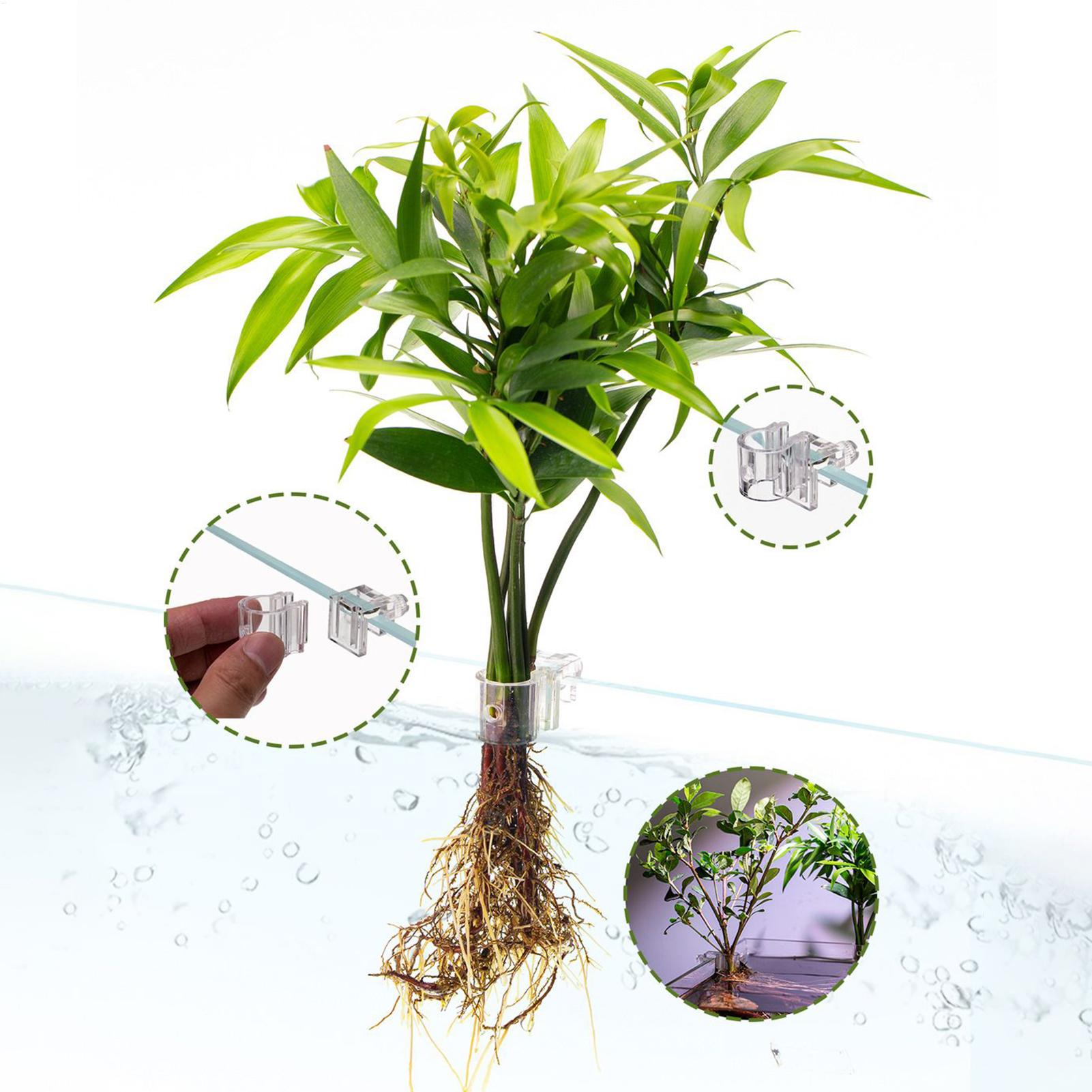 Keranjang Tanaman Akuarium Tra - Aquarium Plant Rings ulasan dan harga