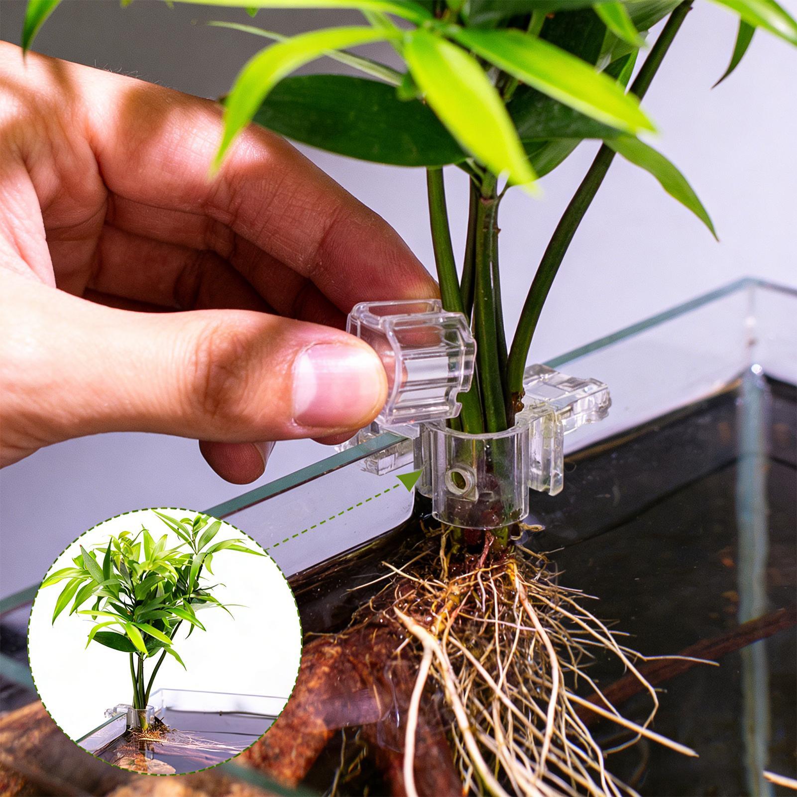 Keranjang Tanaman Akuarium Tra - Aquarium Plant Rings ulasan dan harga